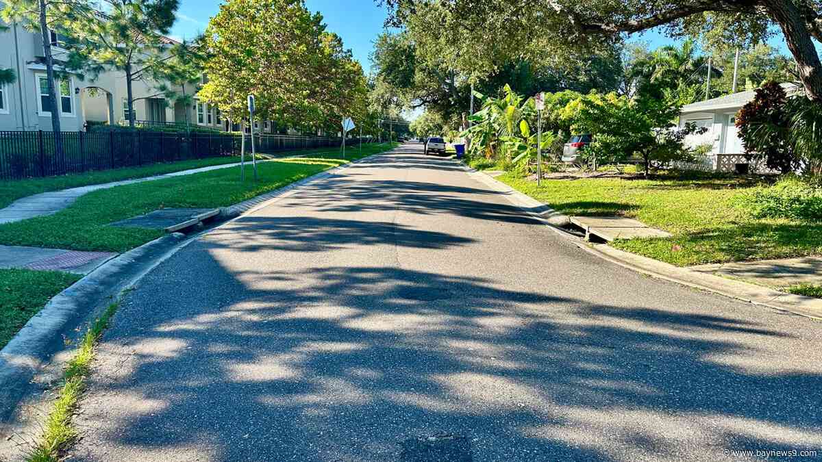 St. Pete to install first HydroPlanter system in $7M stormwater drainage project