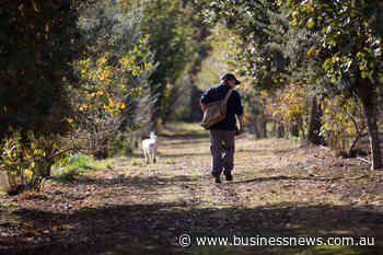 Government funding for Southern Forests Food Council ends