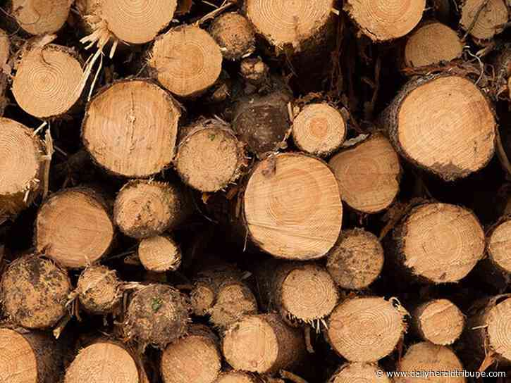 Weyerhaeuser talks NW Alberta forestry management