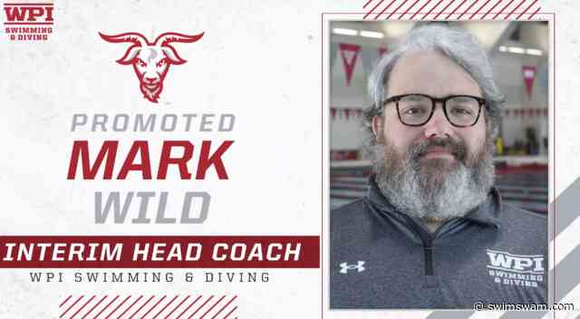 Mark Wild Elevated To Interim Head Coach Of WPI Swimming And Diving