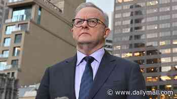 Anthony Albanese leaves Secret Service 'taking deep breaths' after ditching motorcade during New York security scare
