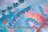 First mRNA Flu Vaccine Approved in the U.S. Now Available for Adults 50 Years and Older