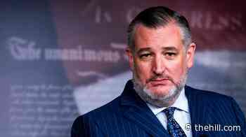 Cruz rips 'right-wing socialism,' says GOP shouldn't be 'giving away free stuff'