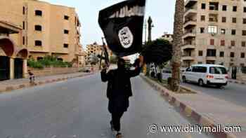 Aussie man arrested after being accused of joining ISIS and sharing guide on how to carry out mass attack