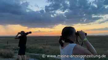 Steppe, Salzseen, Safari-Feeling: Österreichs wilder Osten