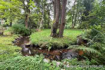 Bad Brambach nimmt hinteren Kurpark in den Blick