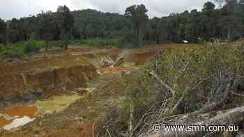 Critical Resources surges on first-mover Suriname gold grab