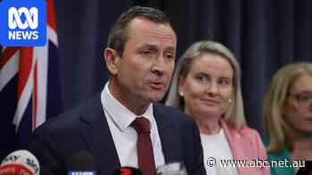 McGowan set to get director spot on Stokes-backed media giant