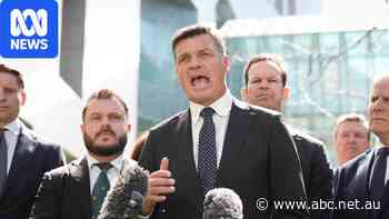 Coalition vows to 'take a chainsaw' to climate laws, offshore wind