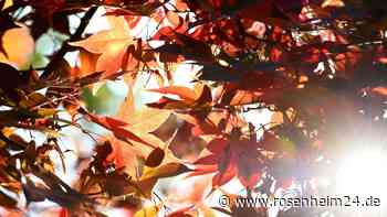 Kaltlufttropfen „droht“: Rauschen die Temperaturen in der Region jetzt in den Herbstkeller?