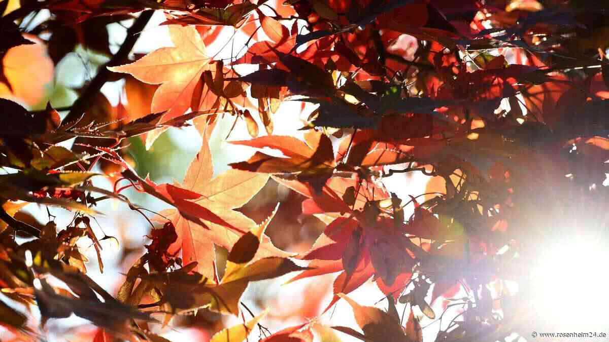 Kaltlufttropfen „droht“: Rauschen die Temperaturen in der Region jetzt in den Herbstkeller?