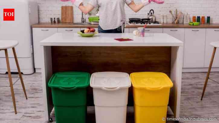 Why your home should have 3 dustbins instead of one: The simple habit that can keep your kitchen cleaner, reduce odours and improve your home’s ambience