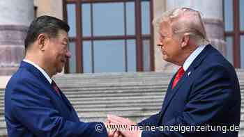 Xi kommt, Trump liefert: Chinas Staatschef bekommt in Washington alles, was er möchte