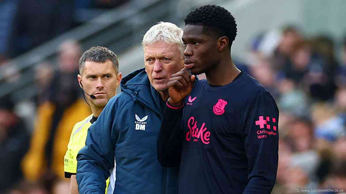 David Moyes set to explore new Everton striking option to support and protect Thierno Barry