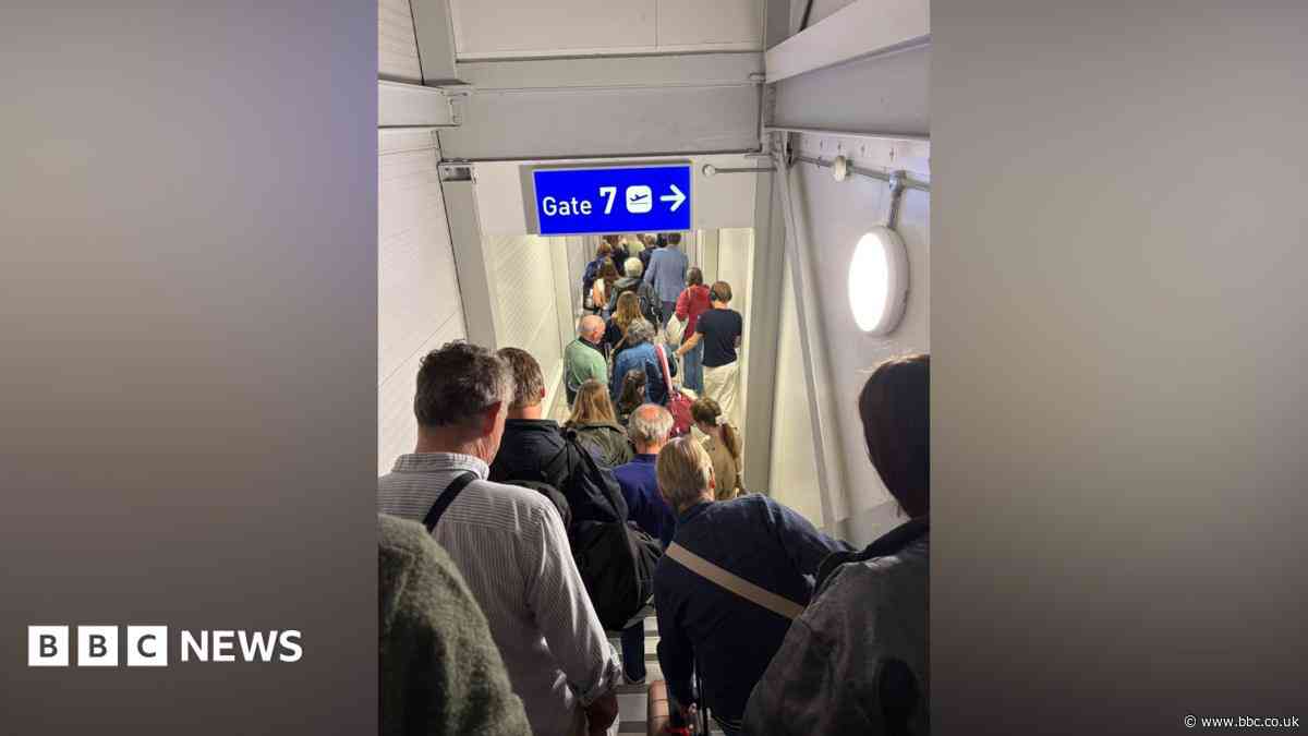Flight disruption after 'connectivity issues'