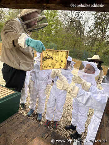 Bienenprojekt der Lohheider Feuerfüchse
