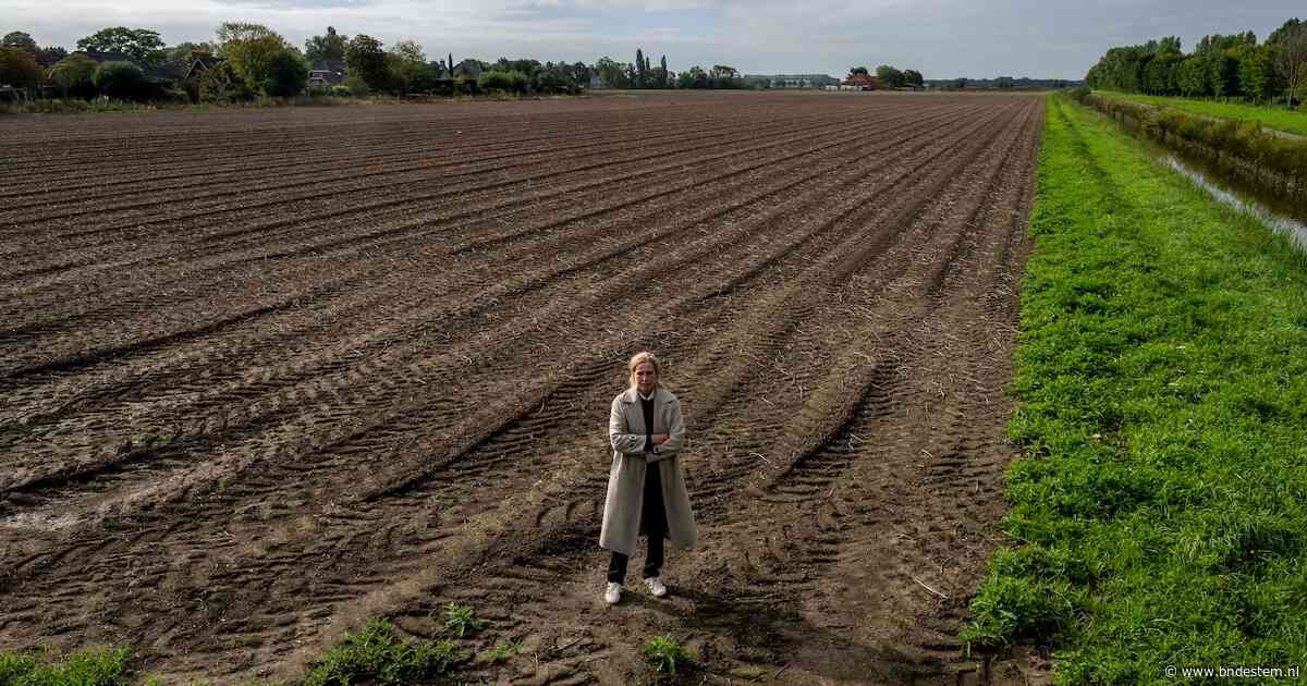 Van snelste bouwlocatie naar ‘on hold’: hoe Dinteloord Zuidwest voorlopig buiten beeld raakte