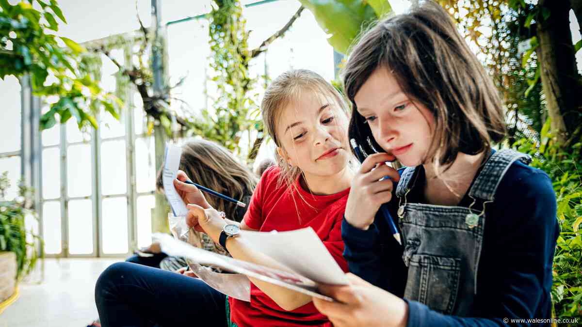 AD FEATURE: Be a 'social scientist' at free family day out in Cardiff