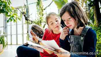 AD FEATURE: Be a 'social scientist' at free family day out in Cardiff