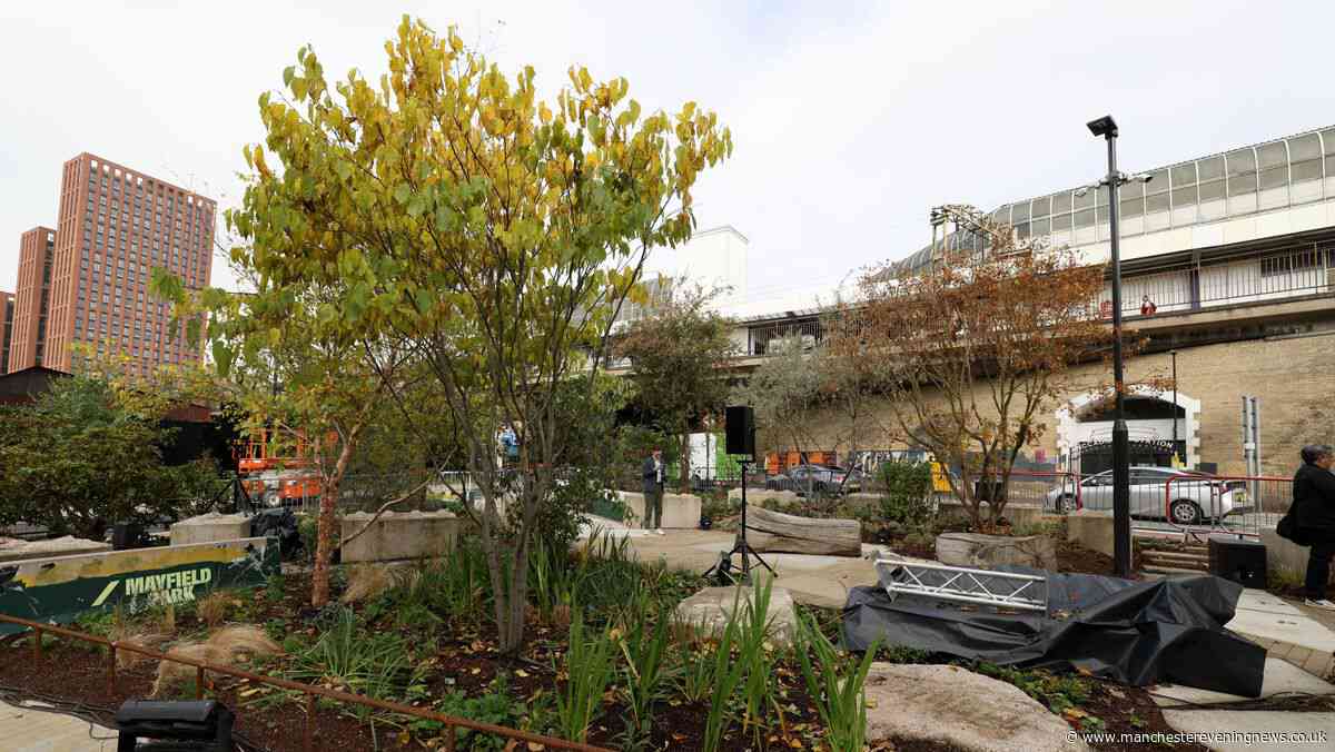 It was once an unloved traffic island, now it’s home to an award-winning garden where trees talk to you