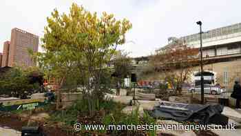 It was once an unloved traffic island, now it’s home to an award-winning garden where trees talk to you