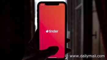 'No one will believe you': Melbourne woman admits raping male prison officer she met on Tinder as chilling messages, 99-call barrage and terrifying night are laid bare