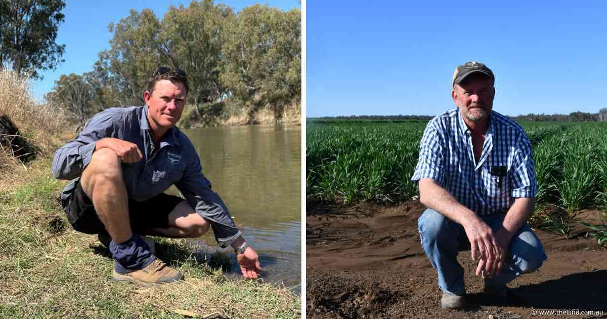 Regulation uncertainty 'compounds' Namoi Valley irrigators floodplain harvesting fatigue