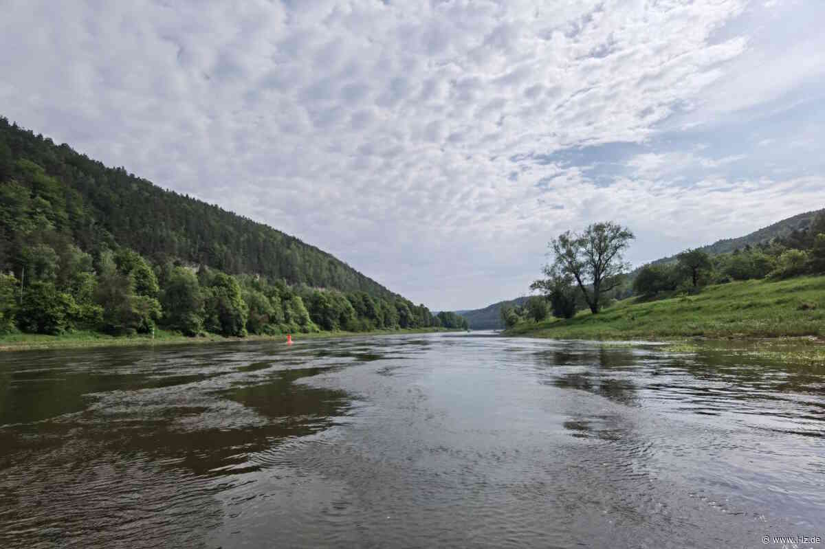 Debatte zur geplanten Staustufe in der Elbe bei Děčín: BUND Sachsen nimmt die Märchen von Sachsens Umweltminister auseinander