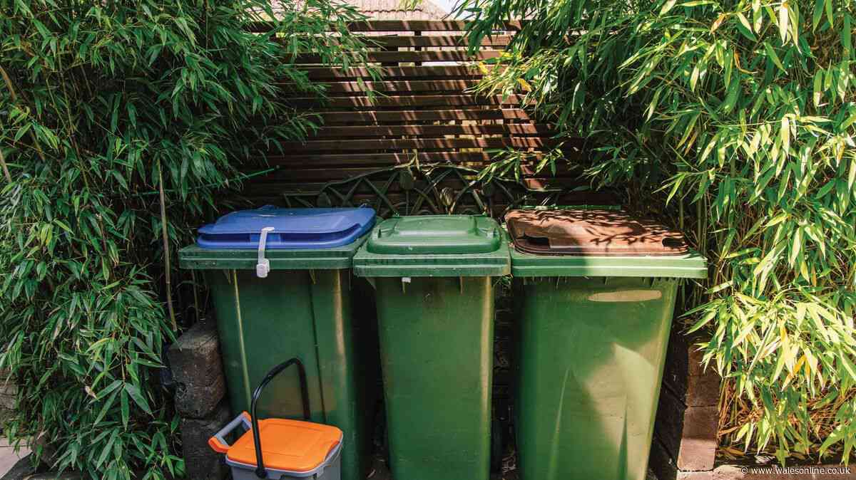 UK households warned over three bin mistakes that could land you with £80 fine