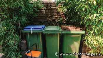 UK households warned over three bin mistakes that could land you with £80 fine