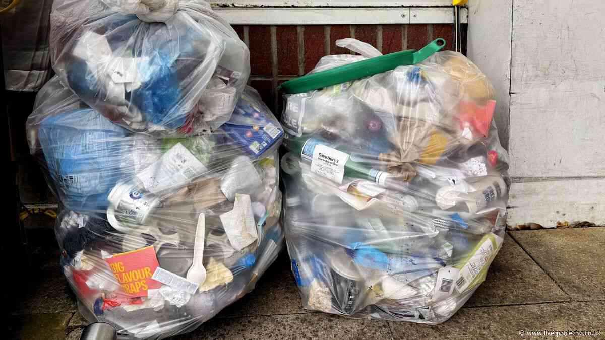 Brits warned over three things never to do with bins or face £80 fine