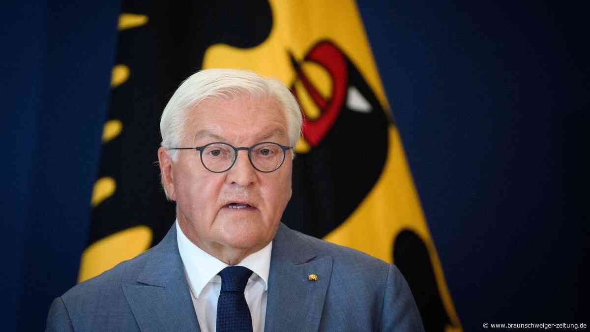 Nach AfD-Wahlerfolgen: Diese Mehrheit kann über Steinmeier-Nachfolge entscheiden