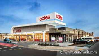 Coles worker's humiliating legal loss after whingeing she was pressured to resign when her manager confronted her over alleged drug use