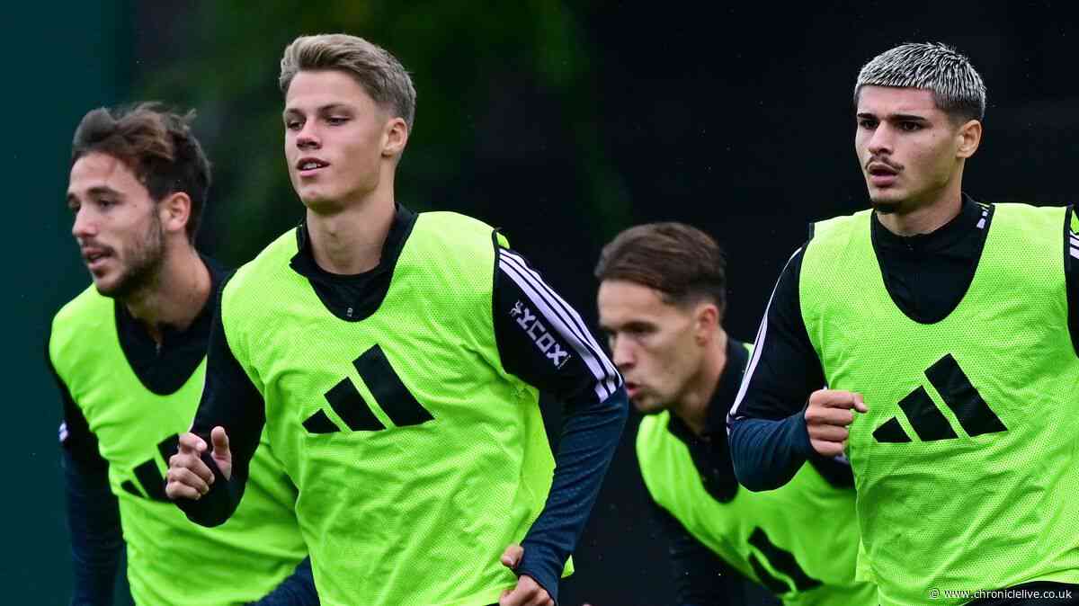 Steur shines, Dedic role, Bamba mystery - rank Newcastle United summer transfers