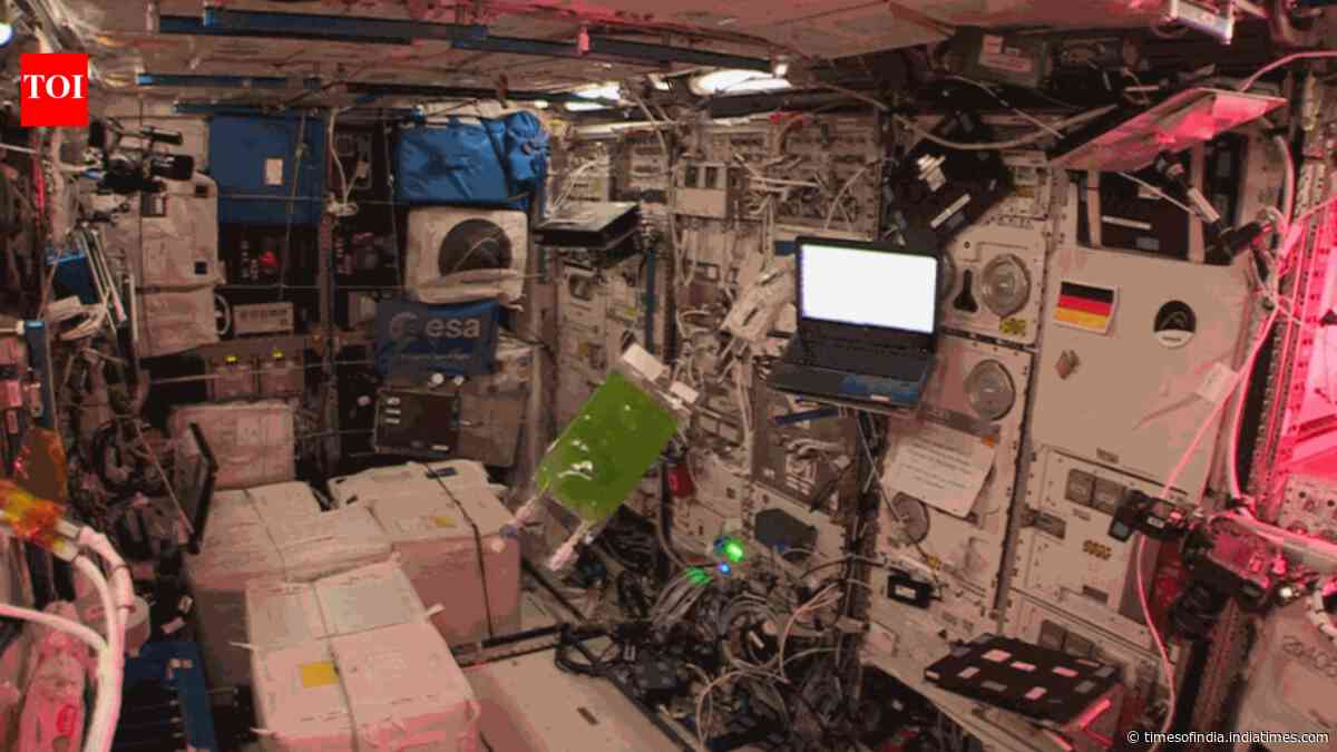 Algae grew for 40 generations on the ISS; spaceflight produced 50% more DNA changes than Earth