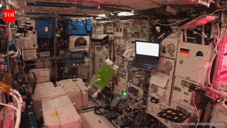 Algae grew for 40 generations on the ISS; spaceflight produced 50% more DNA changes than Earth