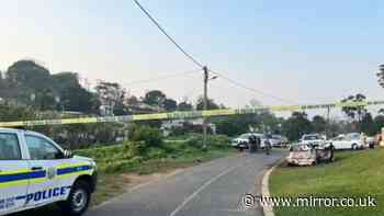 At least 11 dead including pregnant woman after mass shooting at South Africa house party