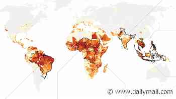 Super El Niño could cause 451,000 deaths, scientists predict - as they call for urgent action to save lives