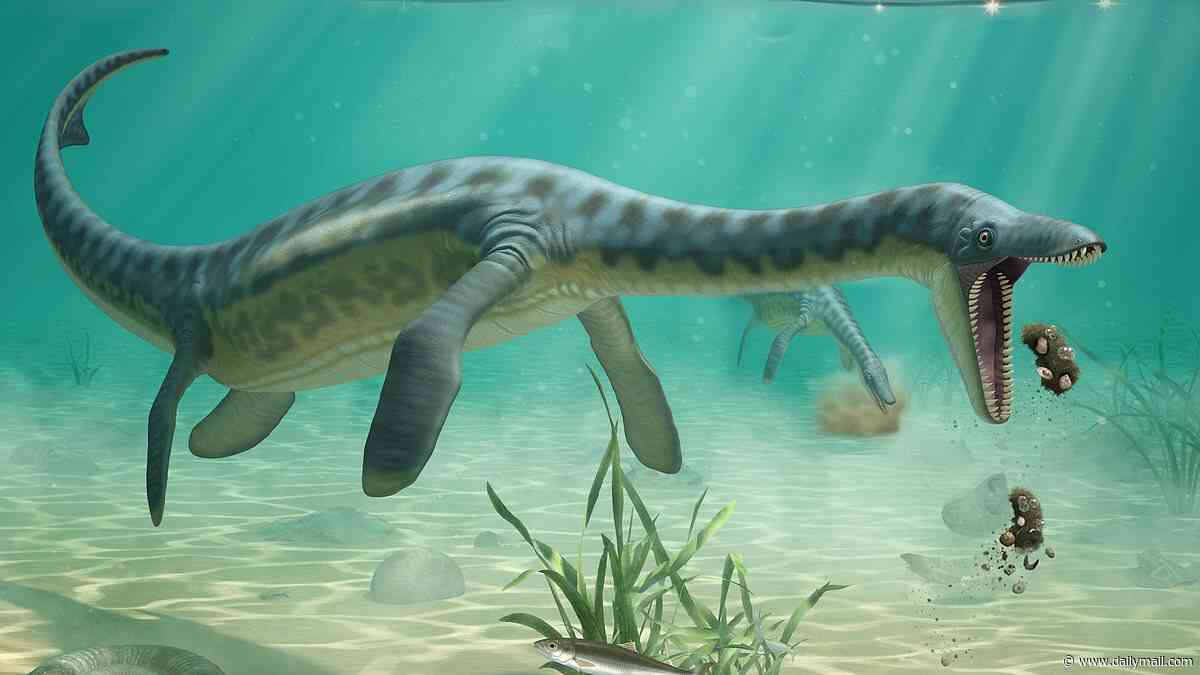 Prehistoric puke! Queasy sea monsters swam to shore to vomit, Jurassic fossils reveal