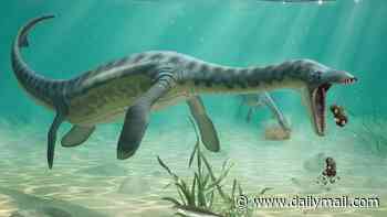 Prehistoric puke! Queasy sea monsters swam to shore to vomit, Jurassic fossils reveal