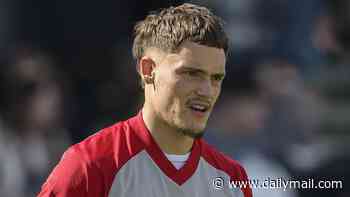 Florian Wirtz's £116m Liverpool signing was a 'huge misunderstanding' and they will 'pull the plug' on him, says his countryman Didi Hamann