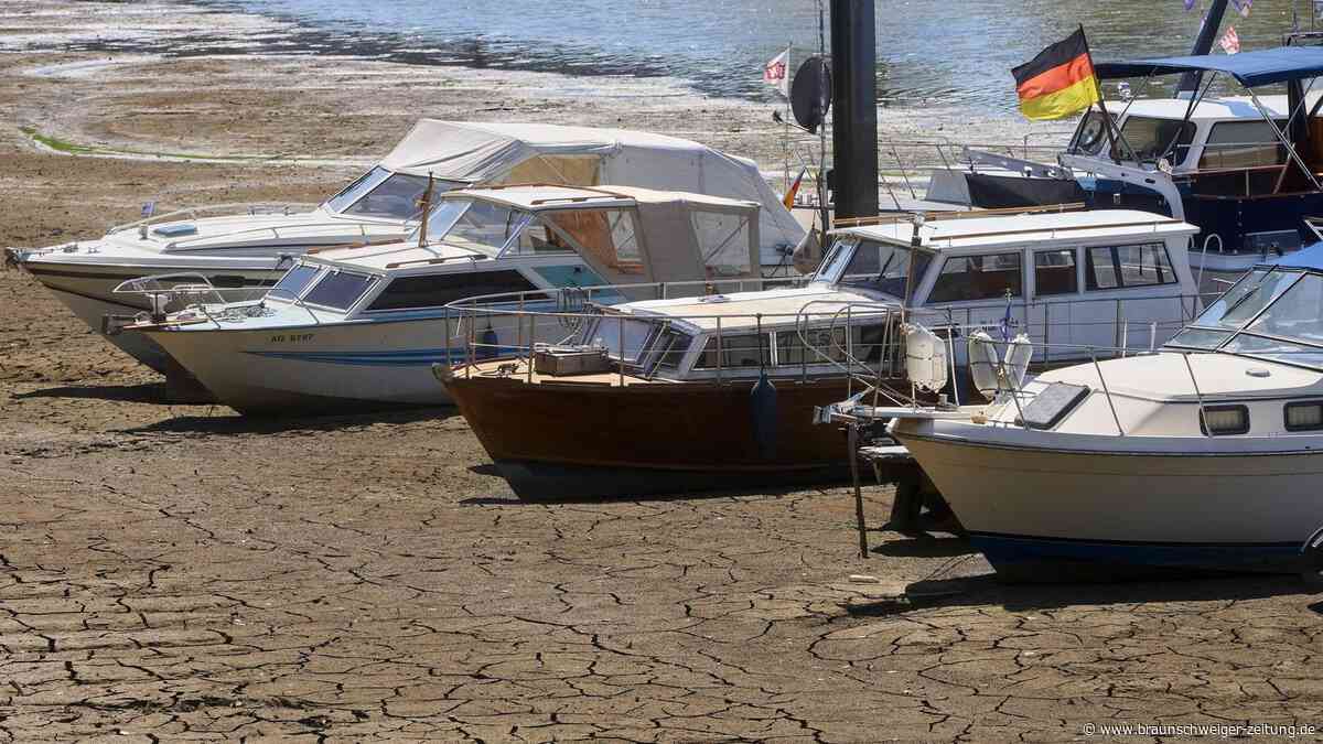 DWD-Analyse: „Gut möglich, dass der Sommer 2026 noch einer der kühleren war“