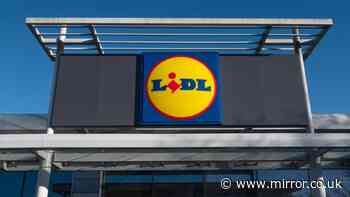 New Lidl's £13 'stylish' dining room item similar to £70 Next version out Sunday