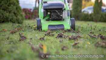 Letztes Rasenmähen vor dem Winter: Diese Faustregel sollten Gartenbesitzer kennen