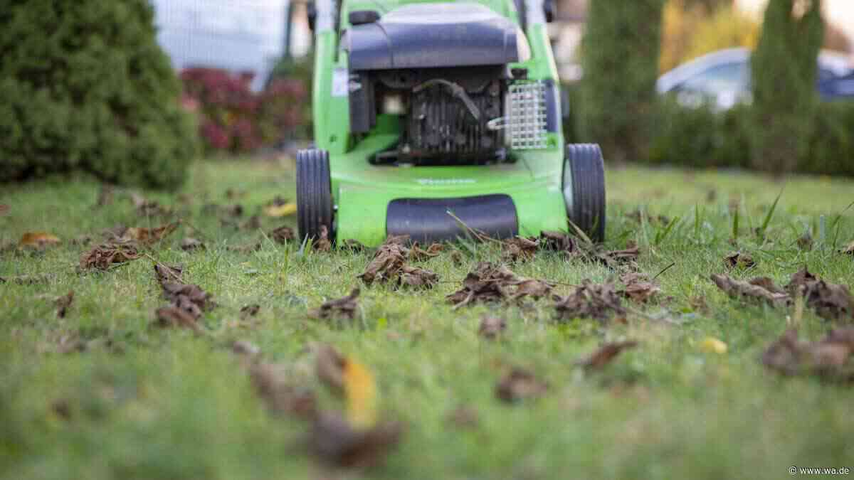 Letztes Rasenmähen vor dem Winter: Diese Faustregel sollten Gartenbesitzer kennen