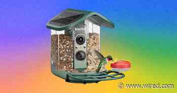 Kiwibit Bird Feeder 2 Pro Review: Premium but Paywalled