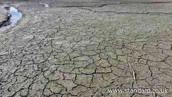 Super El Niño predicted to cause 451,000 more heat deaths: Which countries will suffer most?