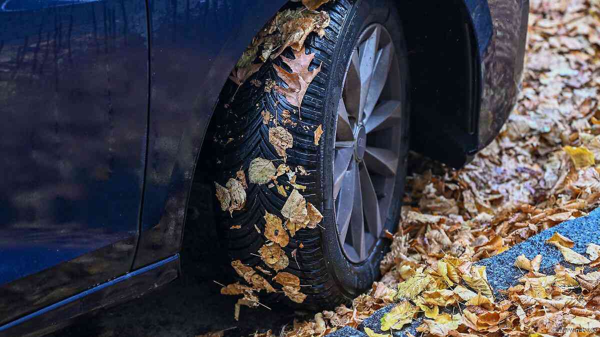 Alternative zu Wechselmodellen: Automobilclub testet Ganzjahresreifen - fünf sind "sehr gut"