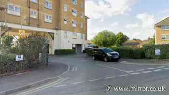 Man in his 20s raped by attacker who followed him into alley - police flood area