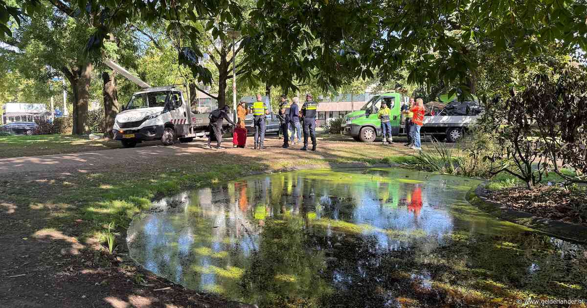 Politie ontruimt Keizer Karelplein-tentenkamp: ‘Er lopen enorm veel ratten’